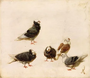 Tauben, 1888